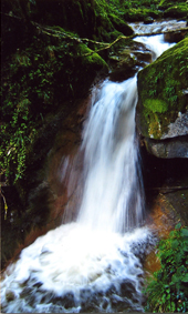 Trauma - Ein Wasserfall